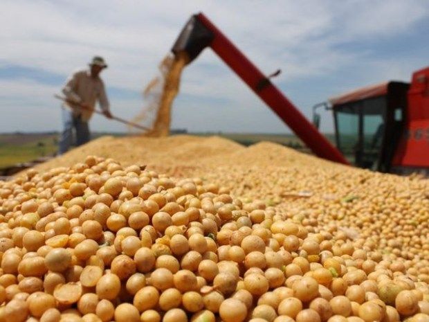 SOYA BEAN , SOYA BEAN MEAL ,ARGENTINA / BRAZILE.