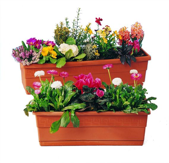 Nursery pots,Waste Container 