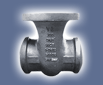 8" 300 Gate Valve Body