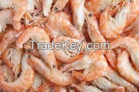 Frozen Horse Mackerel W/R, Sardine, Shrimp, Tilapia Fish (Frozen W/R), Stock Fish, Spanish Mackerel Fish