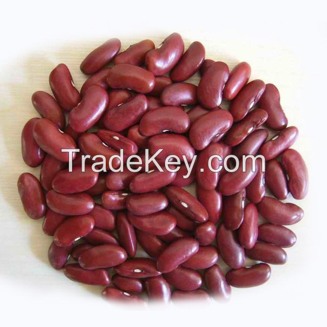 New Crop Dark Red Kidney Bean 