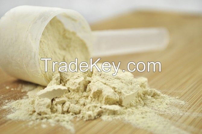 Whey Protein Isolate Powder 90% / Organic Whey Protein Powder (Concentrate)