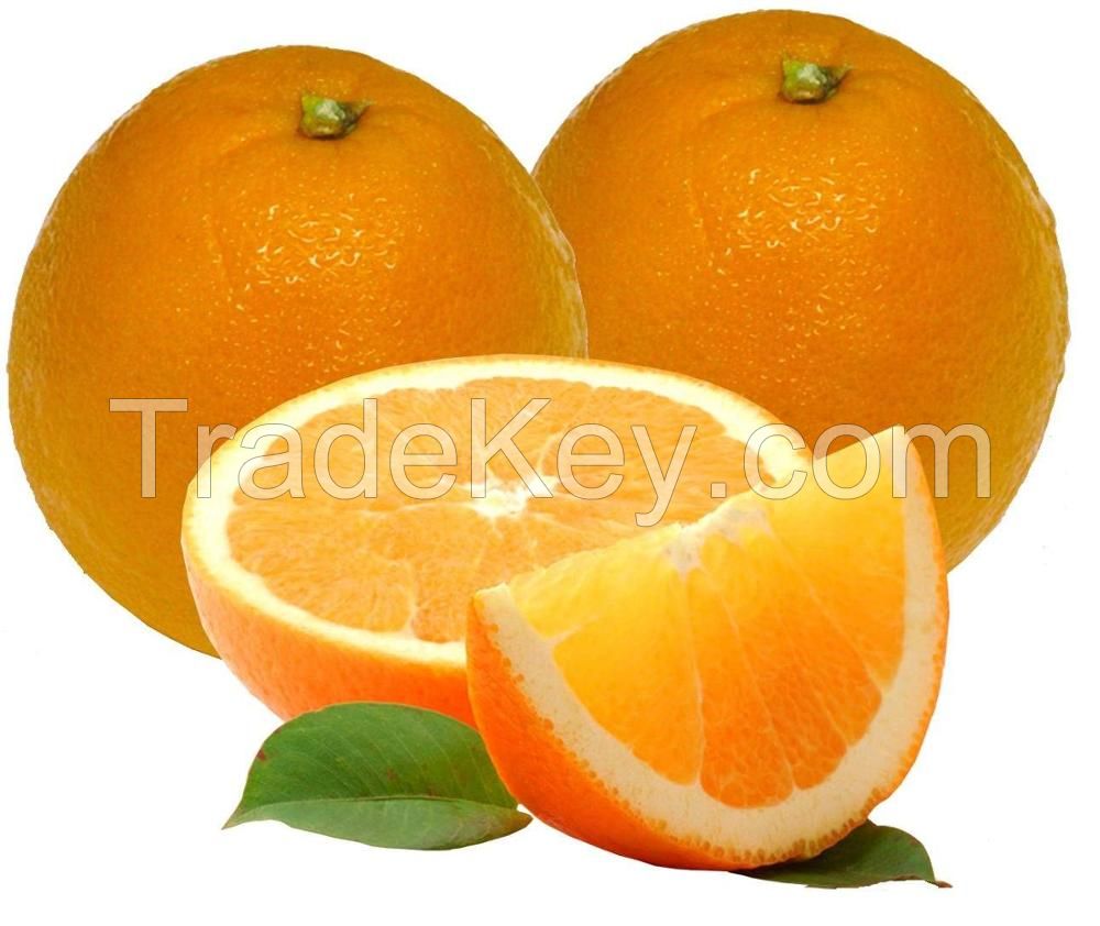 Fresh Seedless Valencia Orange Fruits For sale, Cheap Oranges For Sale