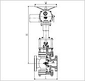 Feed Water Regulating Valve