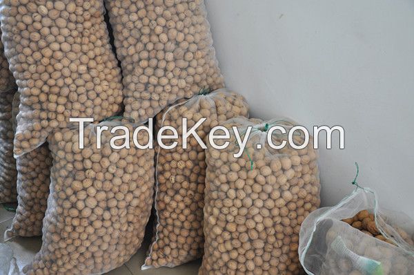 Walnut in shell, export to Vietnam. Australia with good price