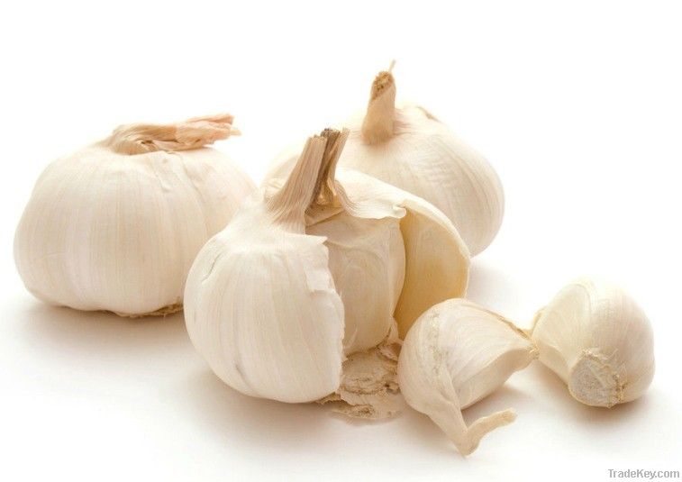 dried garlic