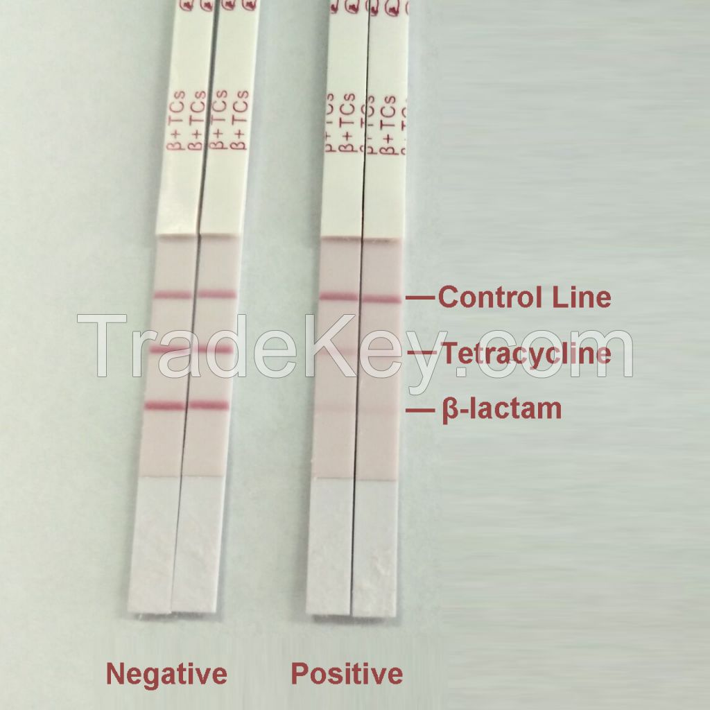 Beta-lactam and Tetracycline Combo Test Kit