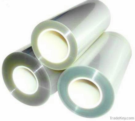 pet protective film