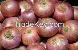 Onion