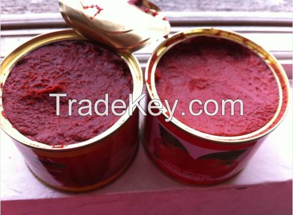 Canned Tomato Paste, Sachet Tomato Paste, Tomato Sauce, Tomato Puree, Tomato Ketchup