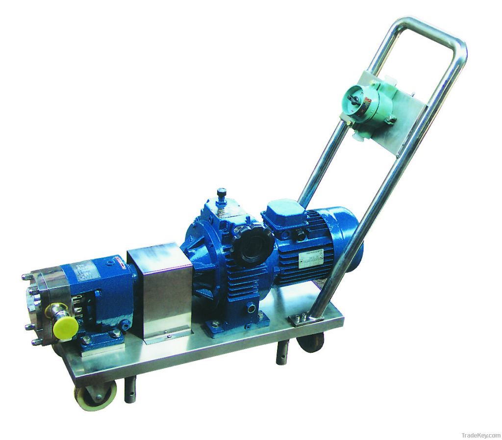 rotary lobe pump