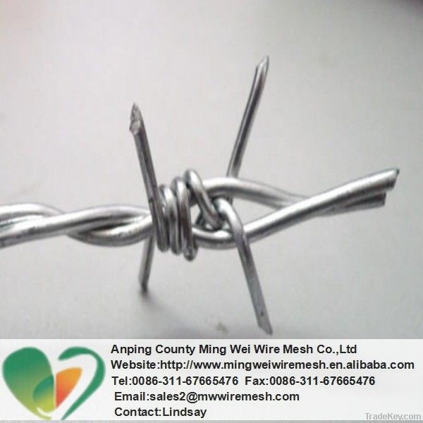 High quality barbed wire (factory)