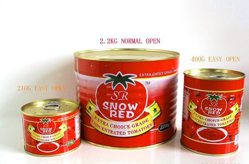 halal canned tomato paste