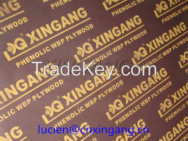 XINGANG Plywood