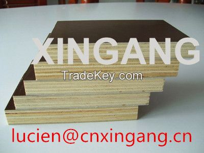 XINGANG Plywood