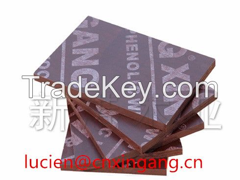 Xingang Plywood