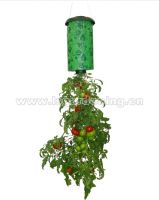 Topsy Turvy Tomato Planter