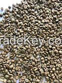 Robusta Coffee Bean