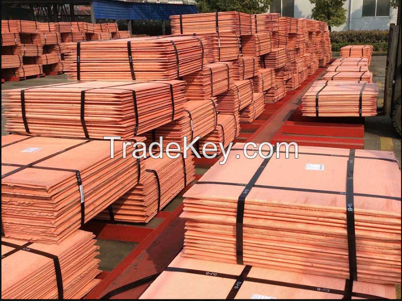 Copper Cathode