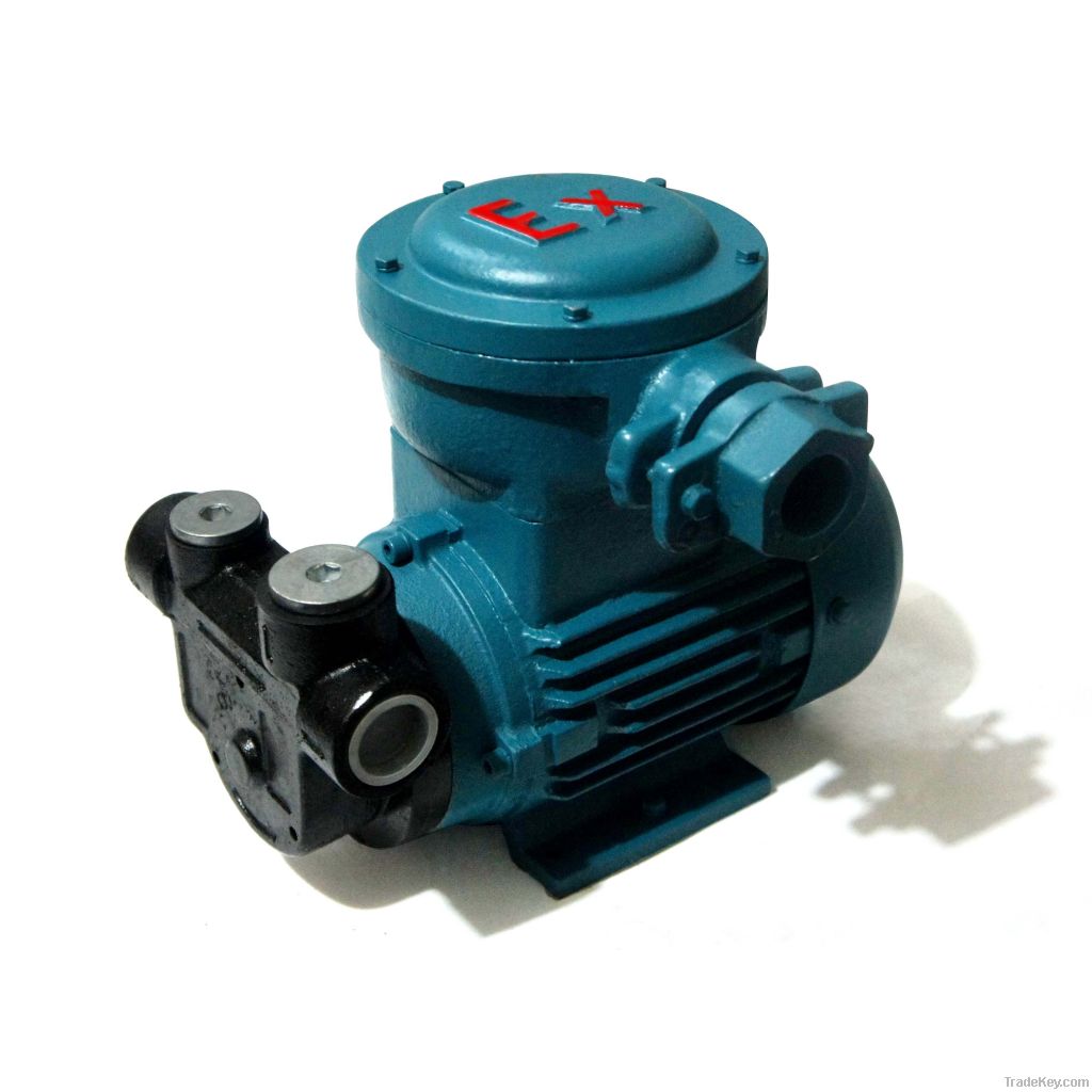 AC Ex-Proof  transfer pump