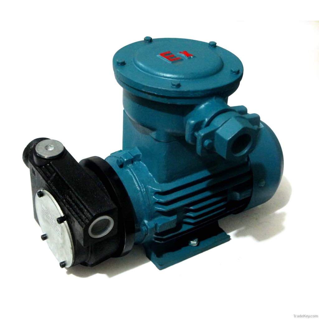 AC Ex-Proof  transfer pump