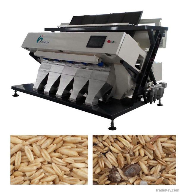 5000X3 Pixel, 3CCD, LED True Colorful Wheat Color Sorter