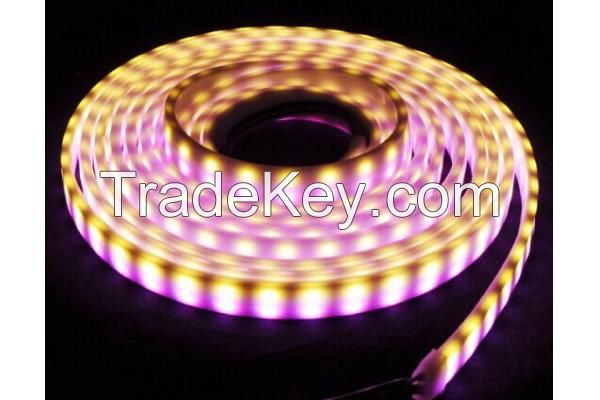 NEW SMD5050 RGBW RGB & white/warm white flexible strip IP68 waterproof 12V 120leds/m double row led strip light