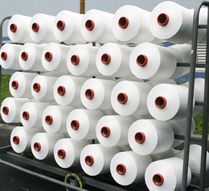 Polyester Yarn