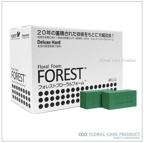 Supply WF48-Forest Floral Foam