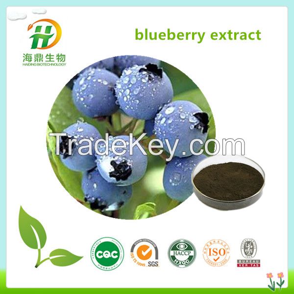 Bilberry Fruit Extract