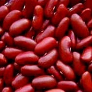 Rajma