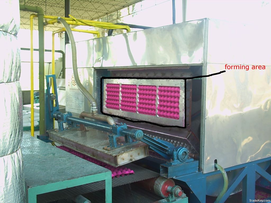 pulp molding machine