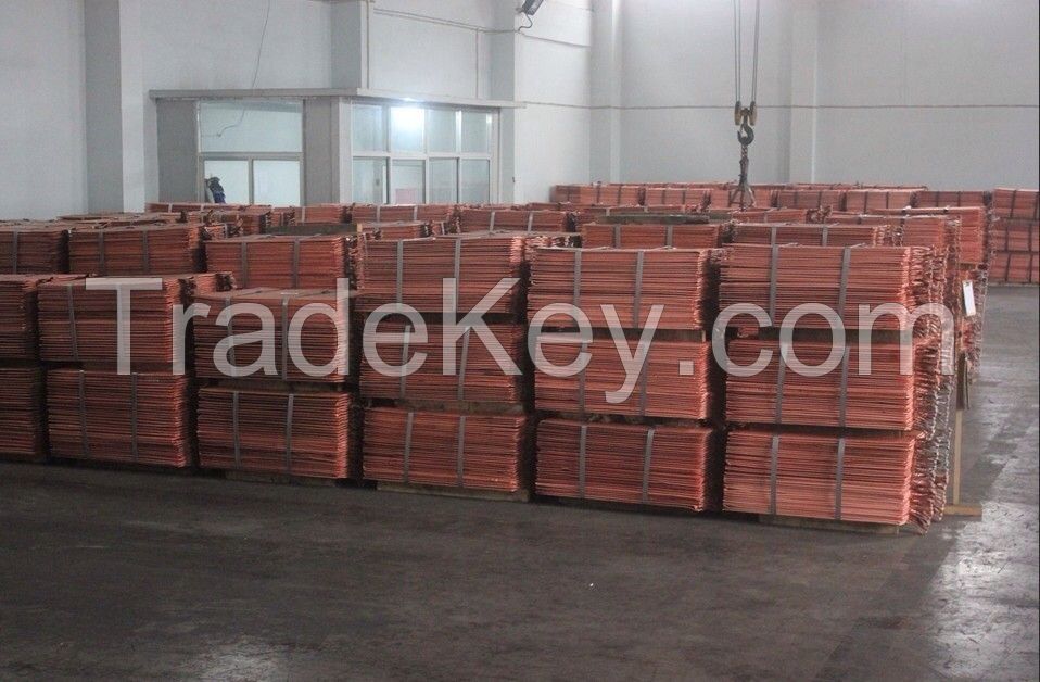 Electro copper Cathode Grade A 99.99%