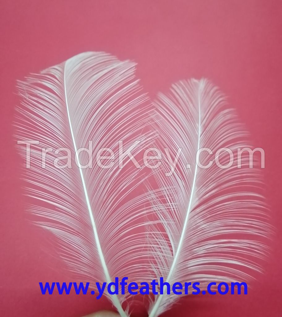 Burnt Goose Nageoires Feather From China