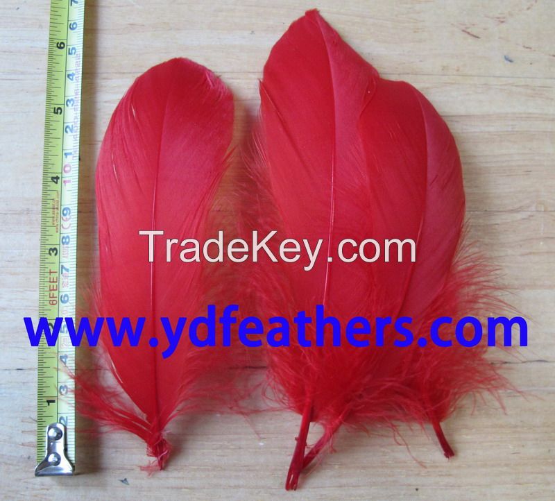 White Goose Nagoires Feather for Wholesale