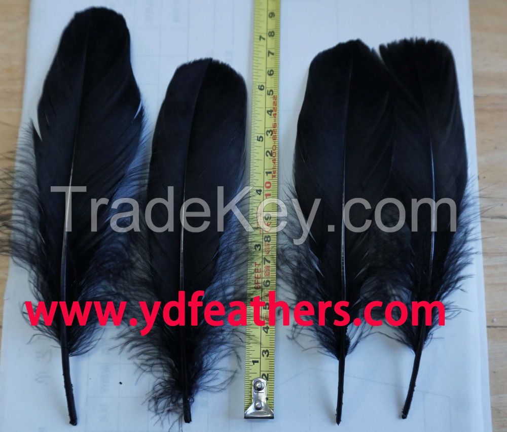 White Goose Nagoires Feather for Wholesale