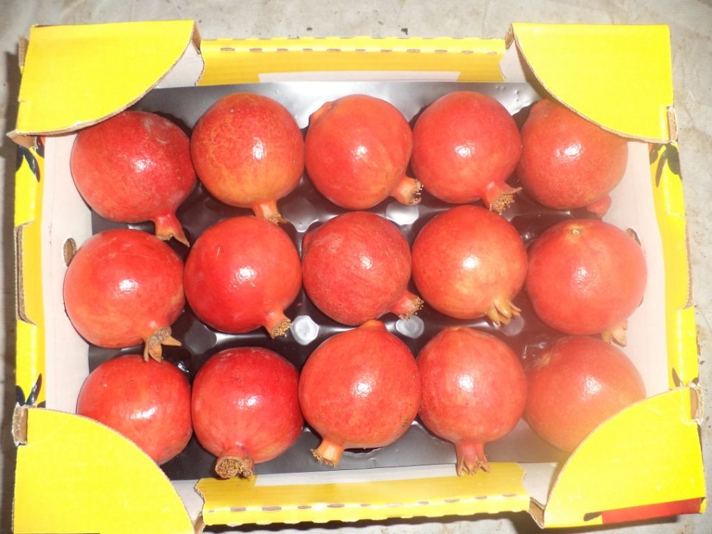 Pomegranate