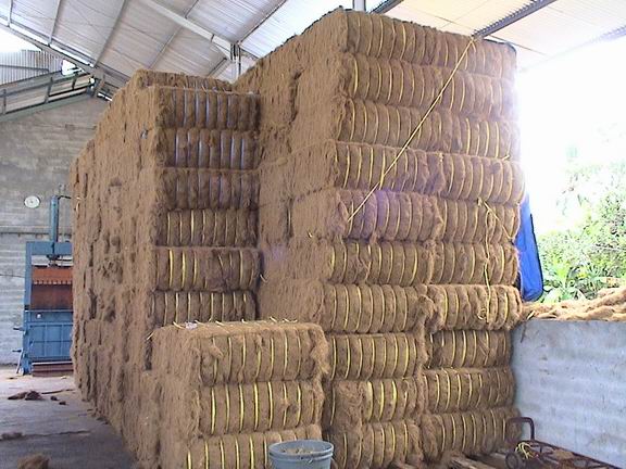 coconut fiber