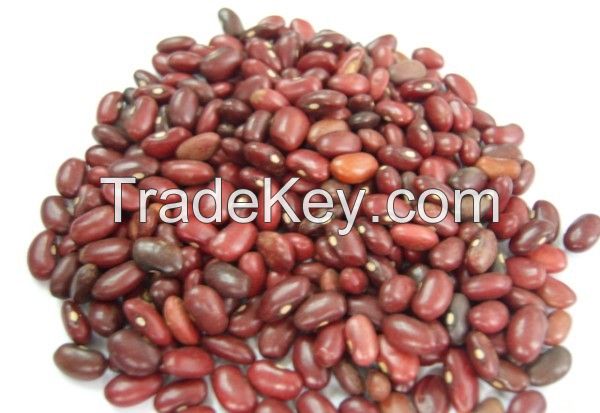 Red Kidney Bean