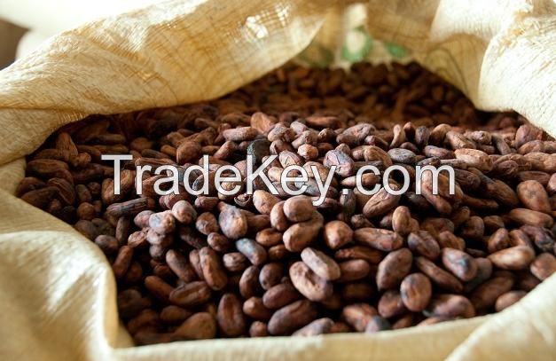 Cocoa beans