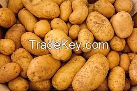 African Fresh Export Quality Potatoes