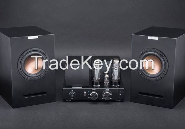 Powerful Vacuum Tube Bluetooth Amplifier with 4 inches Speaker unit Bookshelf Loudspeakers