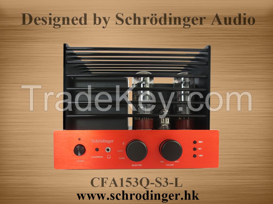 EL34 Vacuum Tube Amplifier, Aluminum Chassis and Amplifier Cage