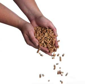 Premium Biomass Wood Pellets