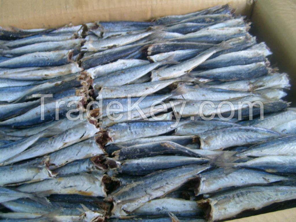 Dried round scad fillet and  headless