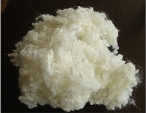 Polyester Staple Fiber 