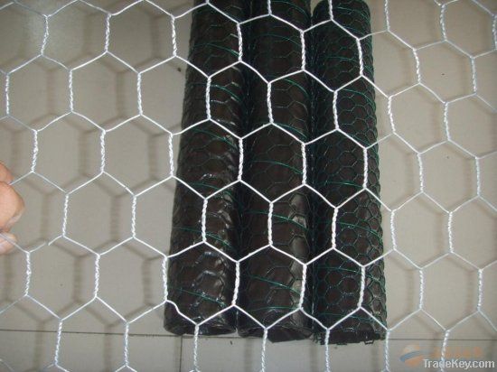 hexagonal wire mesh