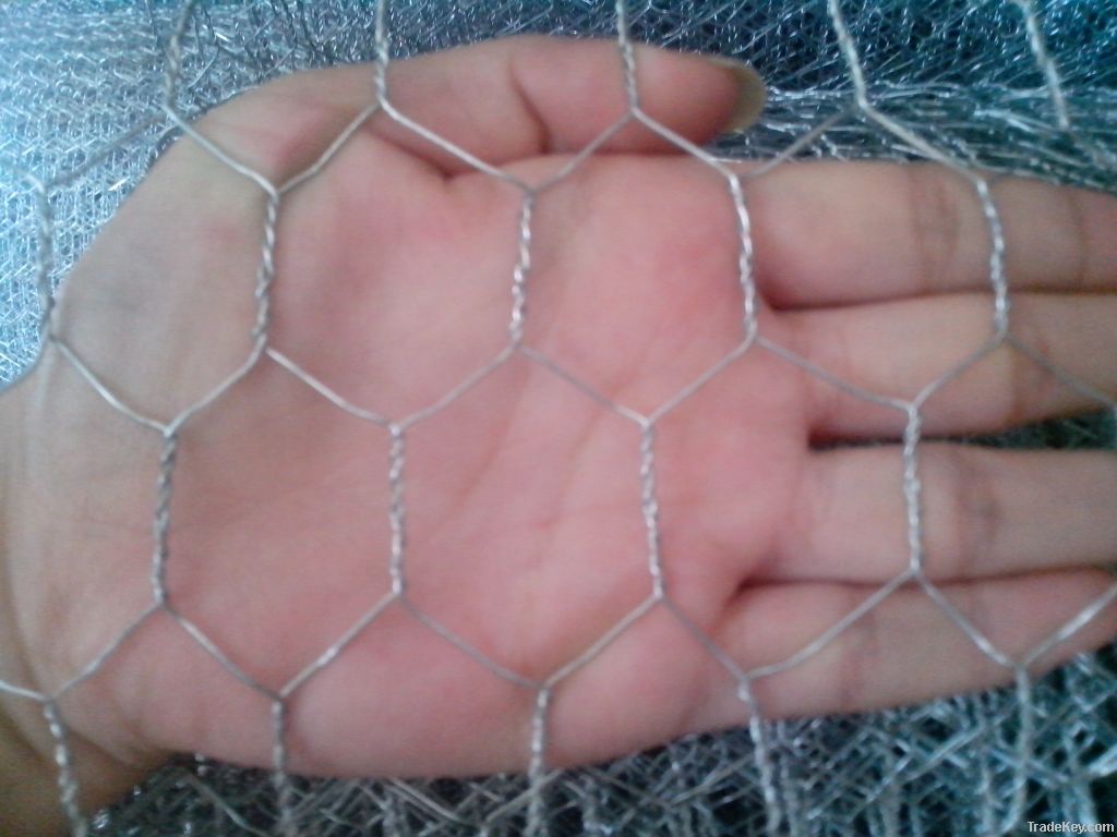 hexagonal wire mesh