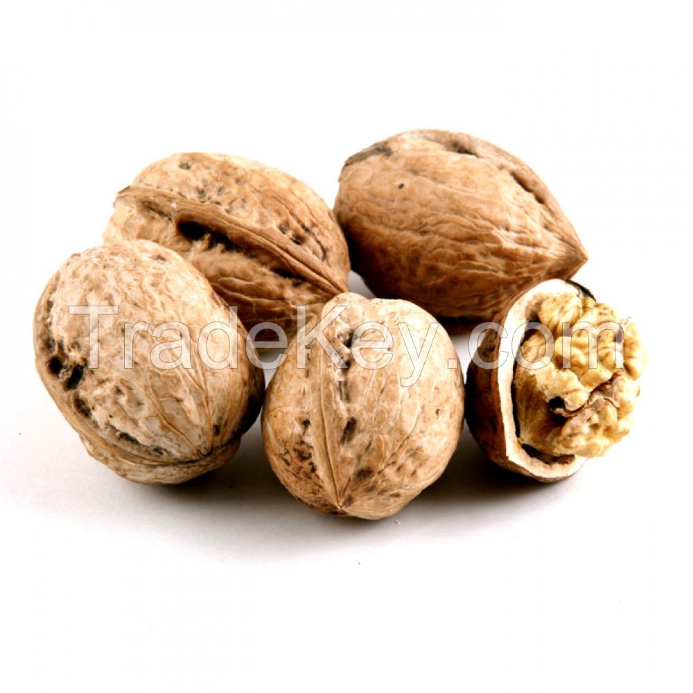 Koshur Walnuts Boxy