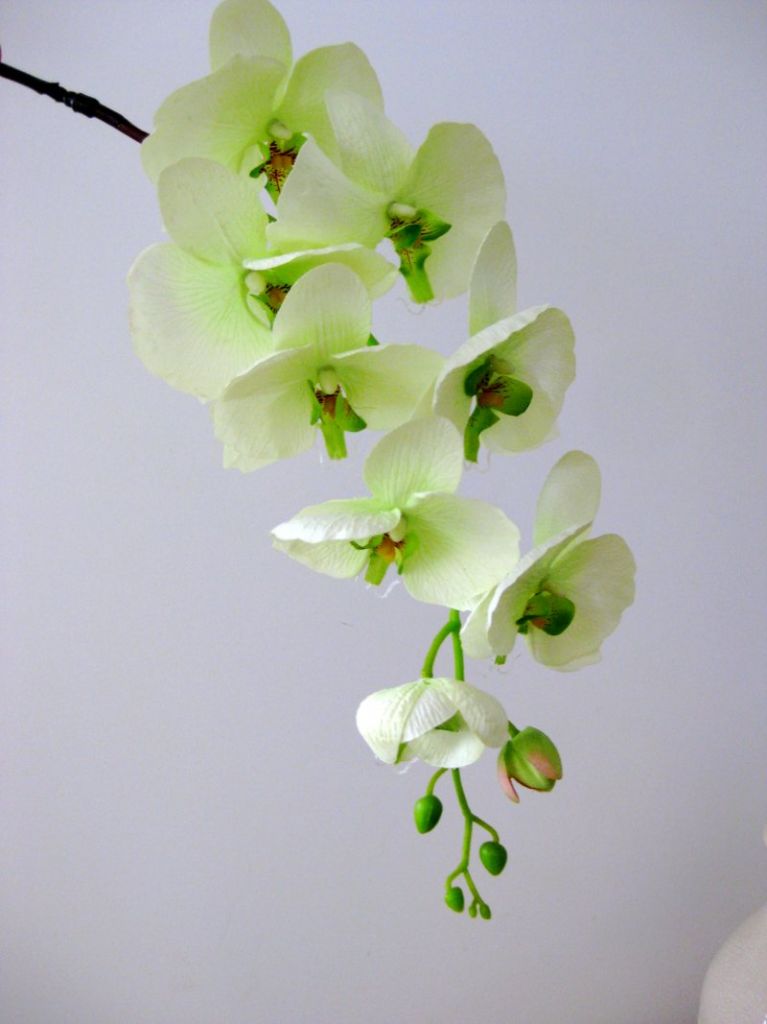 Artificial Home Decorative PU Material High Quality Butterfly Orchid